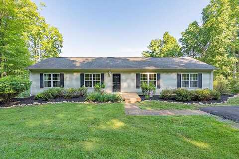 Blueberry, GALAX, VA 24333