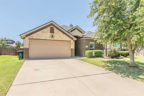 Sapphire, JOSHUA, TX 76058