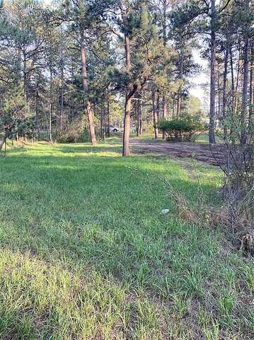Black Forest, COLORADO SPRINGS, CO 80908