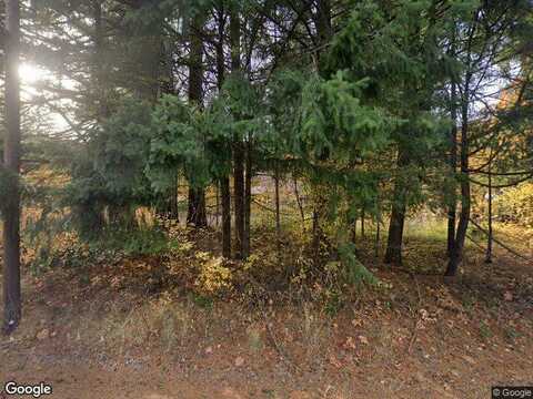 Highway 141, WHITE SALMON, WA 98672