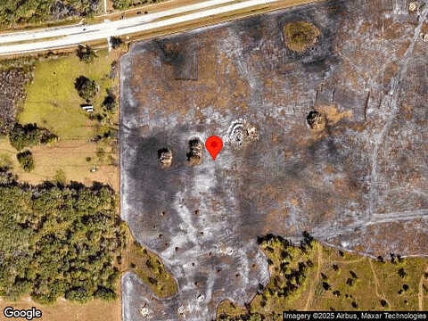 Foxglove, LAKELAND, FL 33811