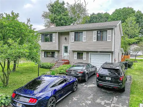 Buttercup, CRANBERRY TOWNSHIP, PA 16066