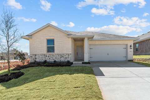 Richardson Street, Howe, TX 75459