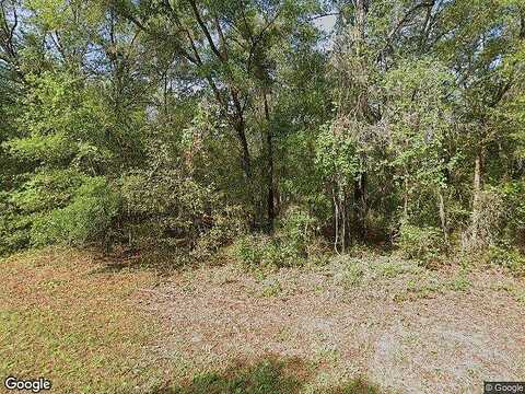 N Sandree Dr, Dunnellon, FL 34434