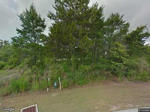 Grande Pointe Dr, Inlet Beach, FL 32461