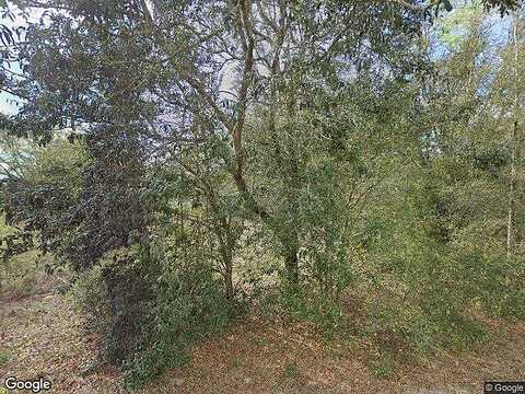 Sw 105Th Pl, Dunnellon, FL 34432