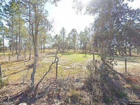 Harrison St, Brooksville, FL 34613
