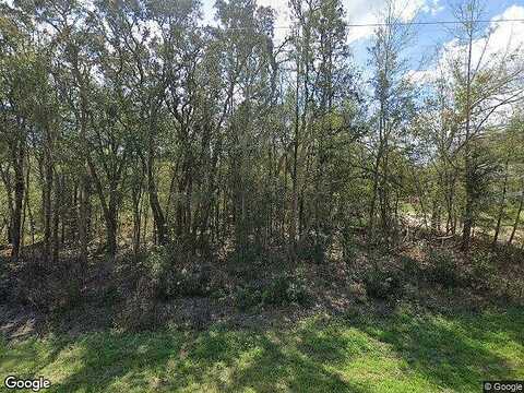 Sw 93Rd St, Dunnellon, FL 34432