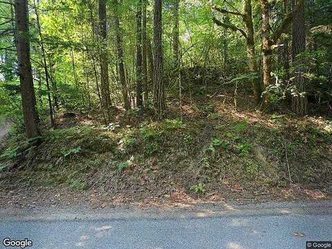 Craig Rd, Packwood, WA 98361