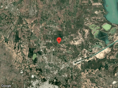 Priscilla St, Brownsville, TX 78526