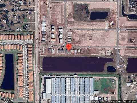 Yellow Hornbill Avenue, Wimauma, FL 33598