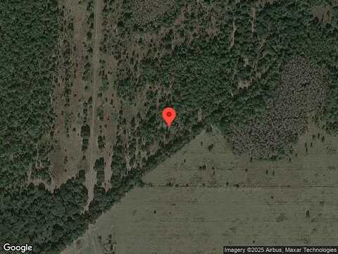 Nevis Terrace, Kissimmee, FL 34758
