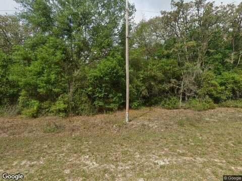 Rustic Rd, Satsuma, FL 32189