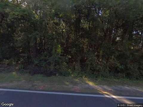 Chestnut Grove Rd, Shiloh, GA 31826
