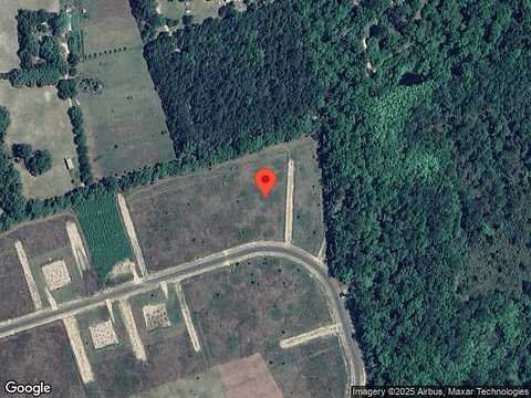 Golden Loop, Crawfordville, FL 32327