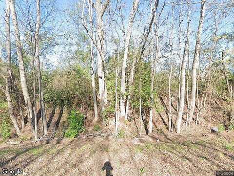 Old Henderson Hwy, Arp, TX 75750