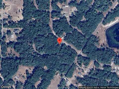 Guava Ter, Ocklawaha, FL 32179