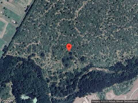 Bonnellis Roost, Cedar Creek, TX 78612