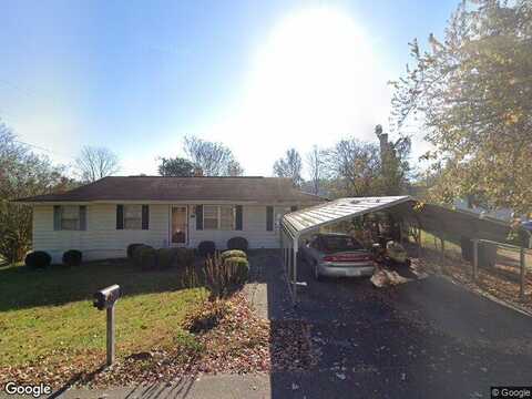 River St # 319, Blue Ridge, GA 30513