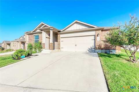 Cosmos Lane, Jarrell, TX 76537