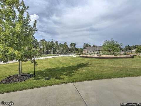 Goujon Gates Drive, Conroe, TX 77302