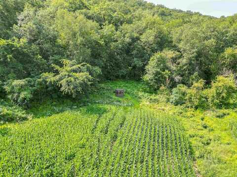 Tamarack, ARCADIA, WI 54612
