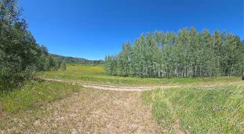 Colt, OAK CREEK, CO 80467