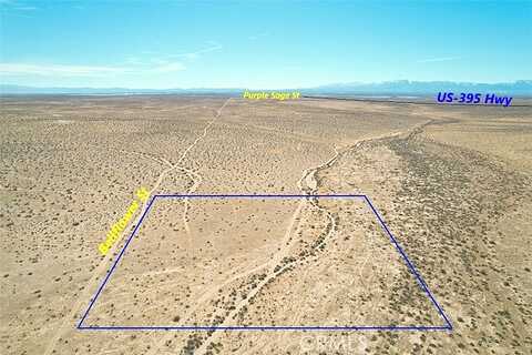 Bellflower, Adelanto, CA 92301