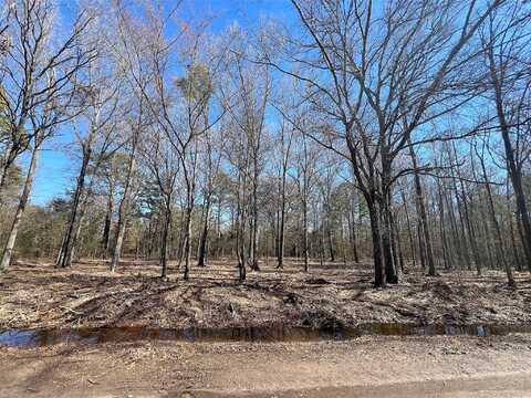 Cr 3113, Pittsburg, TX 75686
