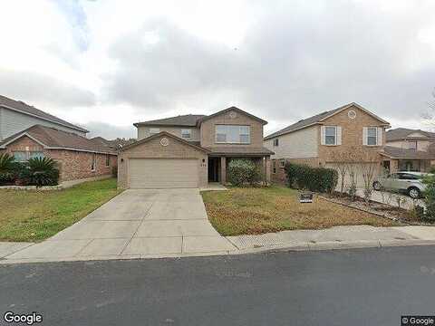Texas Mulberry, SAN ANTONIO, TX 78253