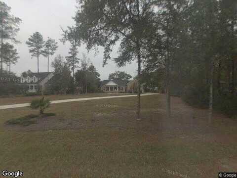 Eagle Neck, TOWNSEND, GA 31331