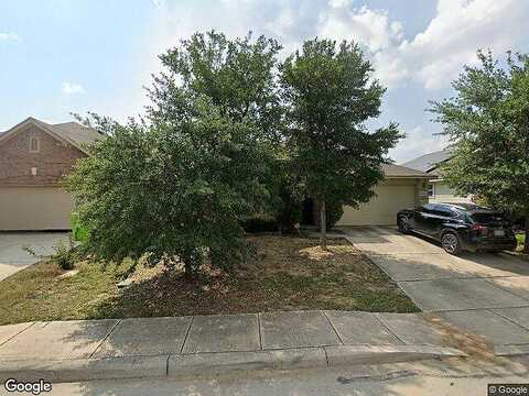 White Mulberry, SAN ANTONIO, TX 78254