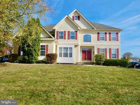 Honey Locust, AVONDALE, PA 19311