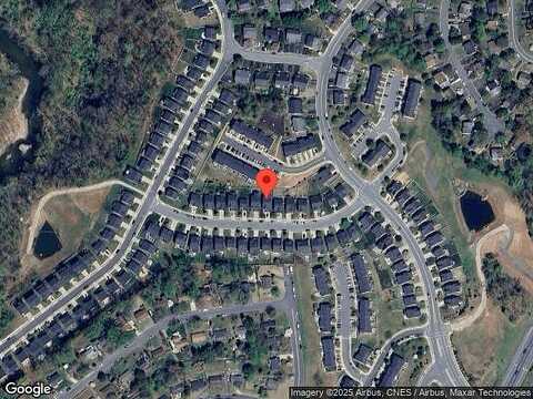 Jersey Pine, CHARLOTTESVILLE, VA 22911