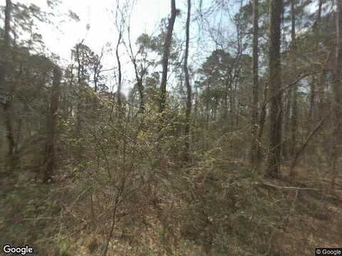 Eagle, LIVINGSTON, TX 77351