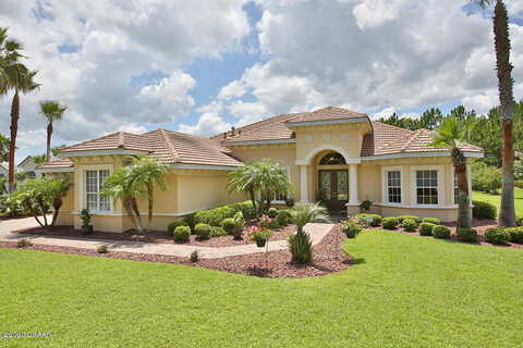 Lionspaw Grand, DAYTONA BEACH, FL 32124