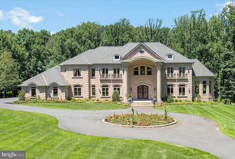 Elizabeth, GREAT FALLS, VA 22066