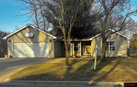 Riggs, SAINT PETER, MN 56082