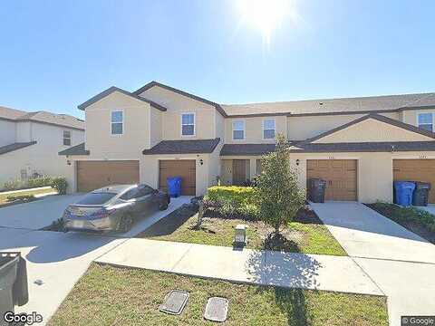 Companion, TAMPA, FL 33619