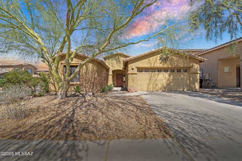 Amber Burst, TUCSON, AZ 85743