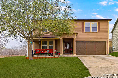 Arabian, SAN ANTONIO, TX 78244