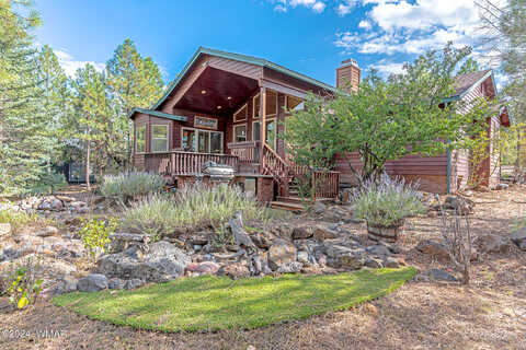 Blazingstar, SHOW LOW, AZ 85901