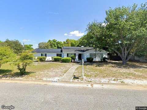 Clydesdale, PENSACOLA, FL 32506