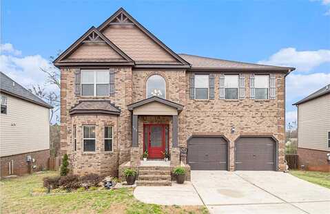 Nevis, MCDONOUGH, GA 30253