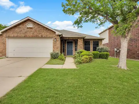 Photinia, DENTON, TX 76208