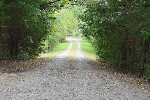 Fm 1993, COOKVILLE, TX 75558