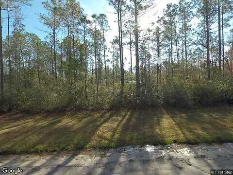 Rio Bravo, NAHUNTA, GA 31553