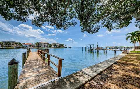 Dolphin, SAINT PETERSBURG, FL 33707