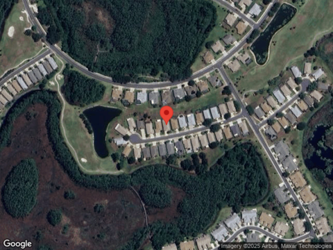 Nectarine, LAND O LAKES, FL 34637