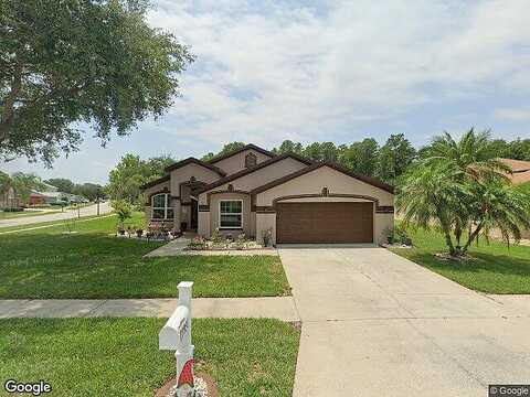 Chandron, ODESSA, FL 33556